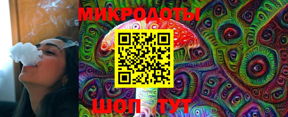 Псилоцибиновые грибы Psilocybine cubensis Кингисепп