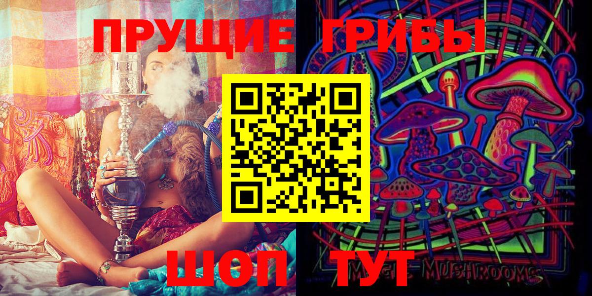 купить   Псилоцибиновые грибы Cubensis  Вход с VPN  Кингисепп 